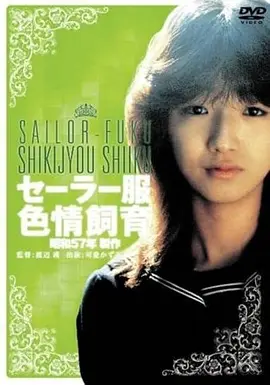 四虎视频文艺电影白露之后海报